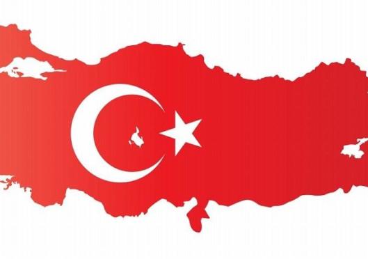 Surviving Police Interrogation in Turkey