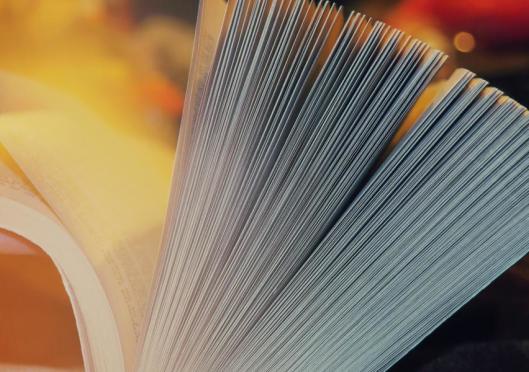 I like to party! And by party I mean read books