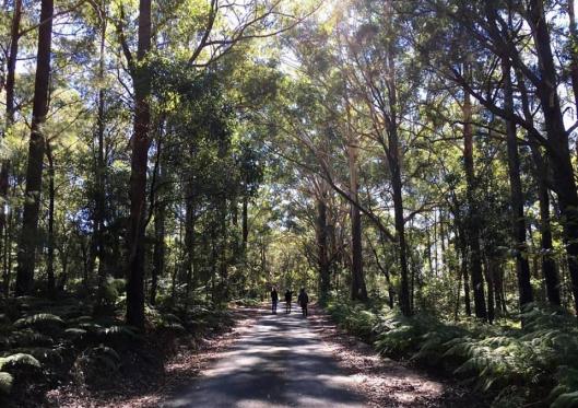 The Secret Life Of Charis Jackson